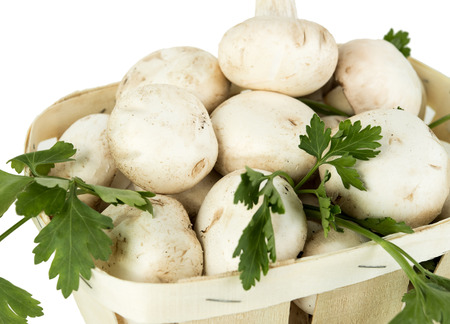 set fresh mushroom champignons with twig dill isolated on white backgroundの写真素材