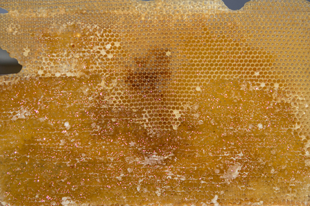 yellow beautiful honeycomb with honey, backgroundの写真素材