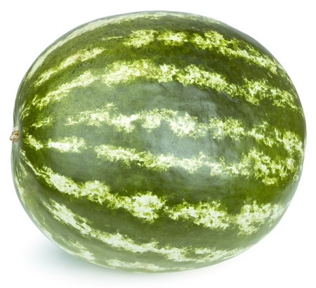 watermelon on white backgroundの写真素材