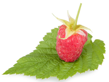 Fresh raspberry. Organic berry with green leaf isolated on white