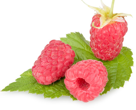 Fresh raspberry. Organic berry with green leaf isolated on whiteの写真素材