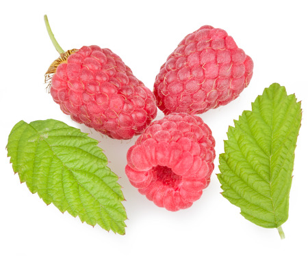 Fresh raspberry. Organic berry with green leaf isolated on whiteの写真素材