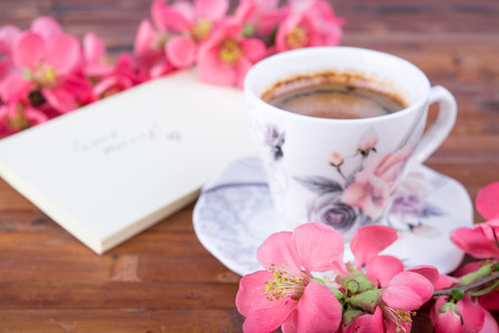 branch with cherry pink blooming flowers on aged wooden tableの写真素材
