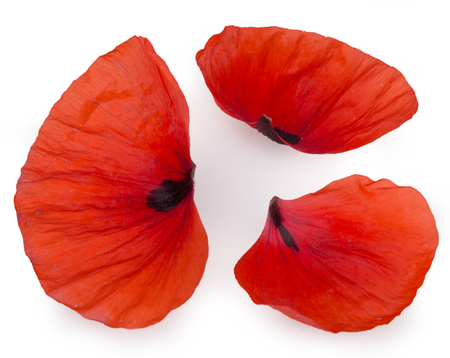 Petals poppy flowers isolated on white backgroundの写真素材
