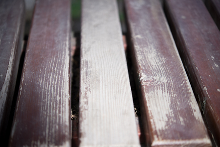 Stylish bench in summer parkの写真素材