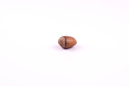 Hazelnut on an isolated white background
