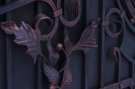 Decorating forged metal doors in dark colorsの写真素材