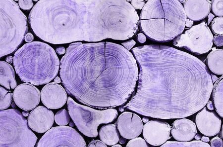 Decorative background of a round timber in colorの写真素材