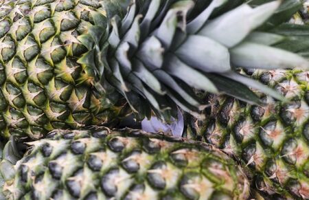 Space for texture, big pineapplesの写真素材