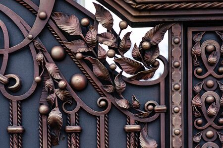 Modern metal forged gate elementsの写真素材