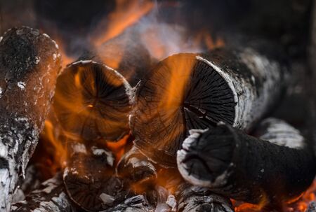 Wooden logs covered with fire in a campfire