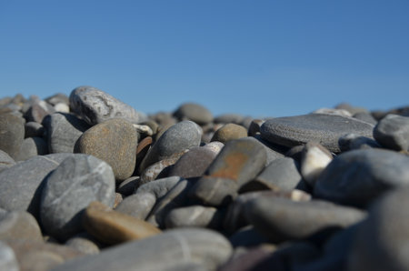 Sea stones by the sea. Bottom view. Close-up. High quality photoの写真素材