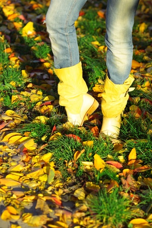 Yellow boots standing on the grass and leaves in autumnの写真素材
