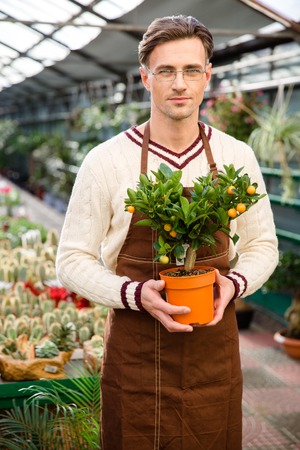 Handsome male gardener in uniform and glasses standing in greenhouse and holding small tagerine tree in potの写真素材