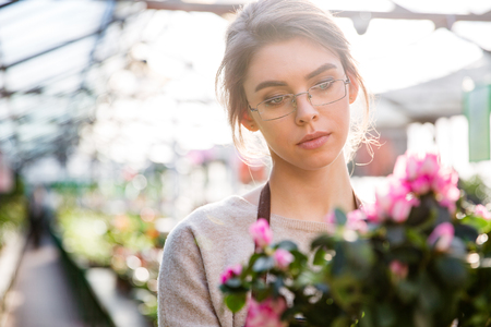Beautiful concentrated young woman florist in glasses working with flowers in greenhouseの写真素材