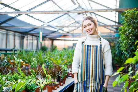 Cheerful beautiful young woman in colorful striped apron standing near different kinds of ficus in flower orangeryの写真素材