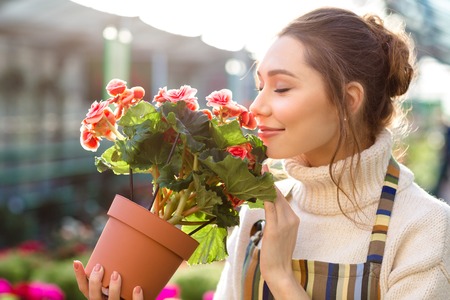 Inspired smiling young woman florist smelling flowers of begonia in greenhouseの写真素材