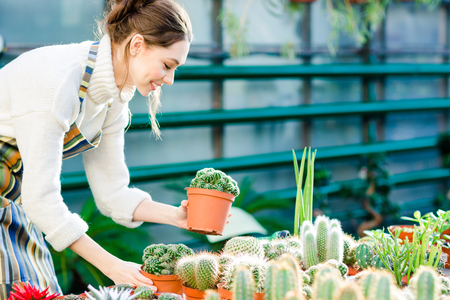 Happy cute young female gardener taking care of cactuses in orangeryの写真素材