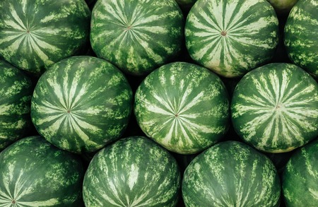 Close-up view of a heap of fresh watermelonsの写真素材