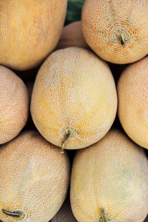 Close-up view of a heap of fresh melonsの写真素材