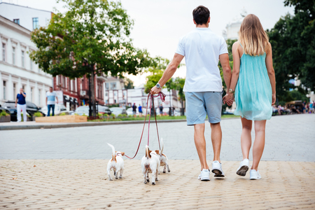 Back view of a friendly couple walking dogs together on the city streetの写真素材