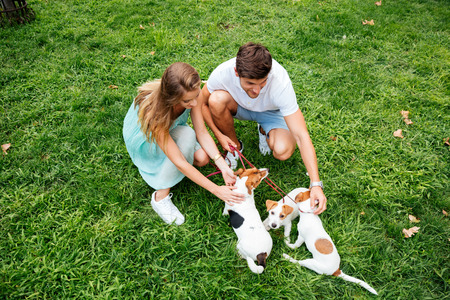 Young attractive couple petting their dogs on the grass in park in summerの写真素材