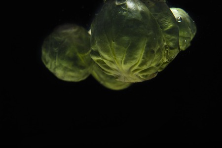Fresh green brussels sprouts isolated on black backgroundの写真素材