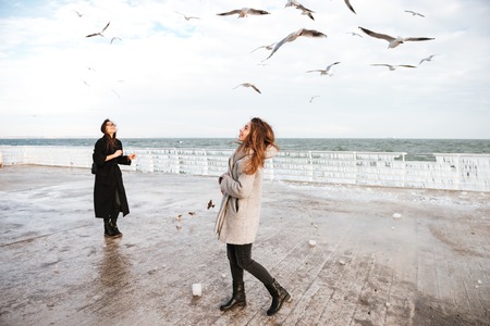 Two cheerful young women standing on pier and looking at seagulls in the skyの写真素材