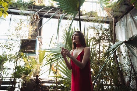 Model in red dress which posing in greenhouse and looking awayの写真素材