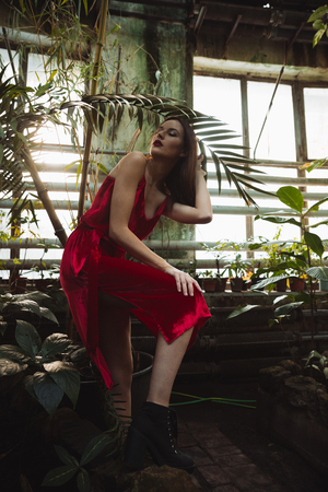 Vertical image of mystery woman in red dress which posing in greenhouseの写真素材