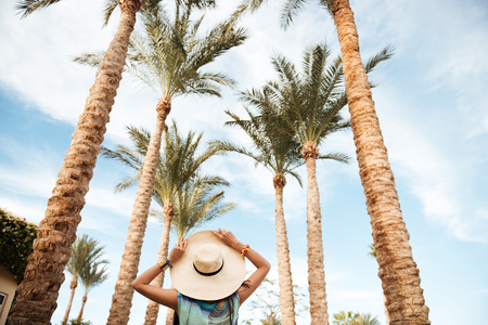 View from below of woman in beachwear which walking surrounded by palm trees. Back viewの写真素材