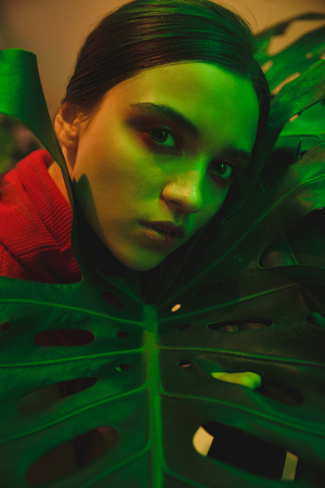 Close up portrait of young woman lying on large leaf while being in eatery and looking at cameraの写真素材
