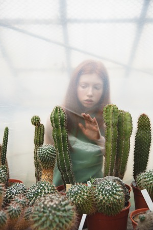Pensive redhead girl in dress trying to touch cacti in greenhouseの写真素材