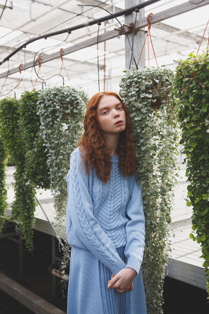 Portrait of redhead cute girl standing near climbing green plants and looking camera in greenhouseの写真素材