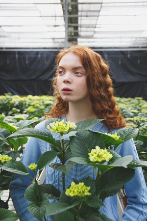 Portrait of redhead girl holding green plant and looking away in orangeryの写真素材
