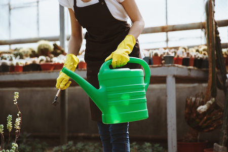 Cropped image of lady standing in greenhouse near plants with hand-pouring pot.の写真素材