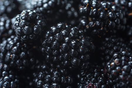 Closeup image of mulberry. Focus selected. Macro.の写真素材