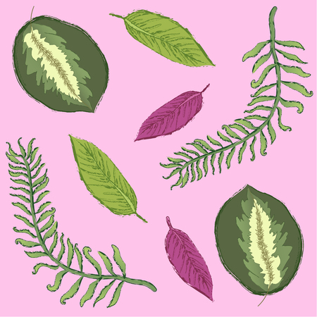 Tropical exotic leaves elements over pink background. Vector illustrationのイラスト素材