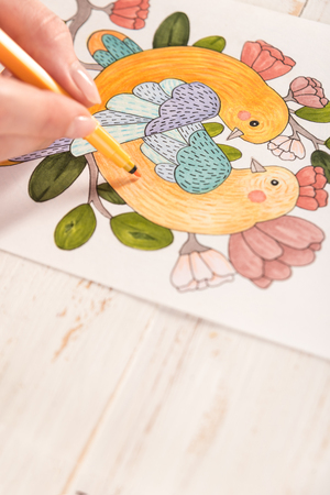 Top view of artist painting beautiful design picture of birds with markers on paperの写真素材