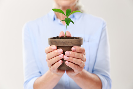 Cropped photo of womans hands holding brown pot with young plant, isolated on white backgroundの写真素材