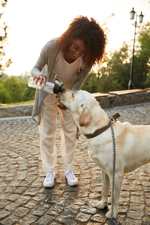 Young careless african lady giving water to her pet labrador in park in the morningの写真素材