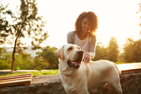 Young careless african lady sitting on bench in park and hugging her friendly dog labradorの写真素材