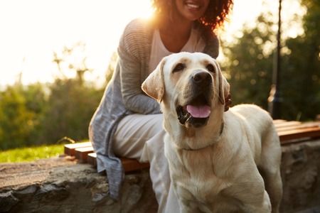 Cropped shot of young african lady wearing white costume walking with pretty dog in parkの写真素材