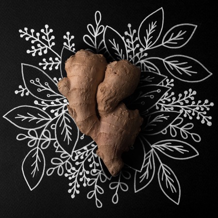 Ginger over outline floral hand drawn backgroundの写真素材