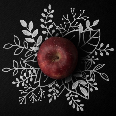 Red apple over outline floral hand drawn backgroundの写真素材