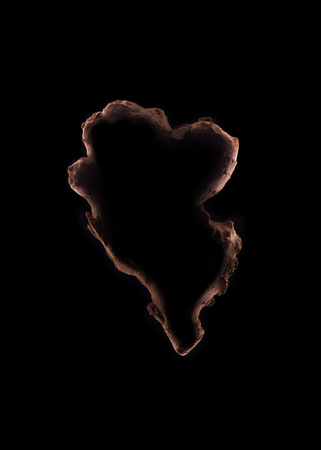 Ginger outline over black backgroundの写真素材