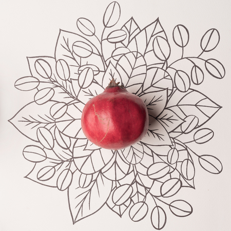 Pomegranate over outline floral hand drawn backgroundの写真素材