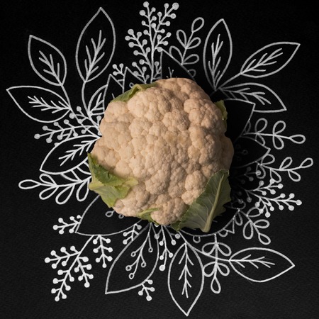Cauliflower over outline floral hand drawn backgroundの写真素材