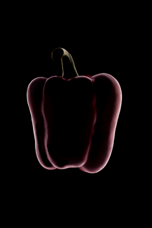 Outline of red bell pepper over black backgroundの写真素材