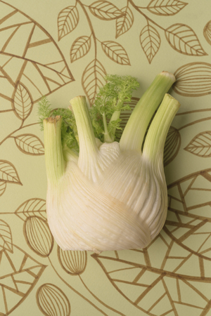 Salad garlic over outline floral backgroundの写真素材